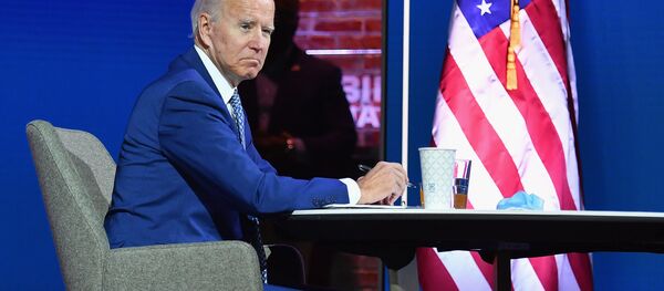 Кандидат в президенты от демократов Джо Байден - 俄罗斯卫星通讯社