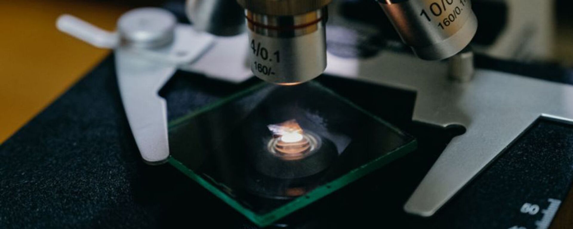 专家：全球生物安全外衣背后潜藏着数十亿美元且不受问责的市场 - 俄罗斯卫星通讯社, 1920, 16.05.2026