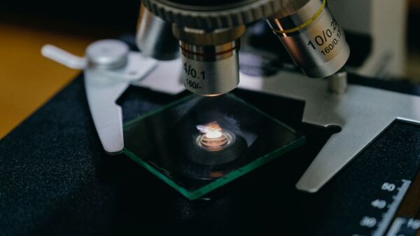 專家：全球生物安全外衣背後潛藏著數十億美元且不受問責的市場 - 俄羅斯衛星通訊社
