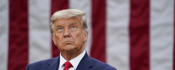 President Donald Trump  - 俄羅斯衛星通訊社