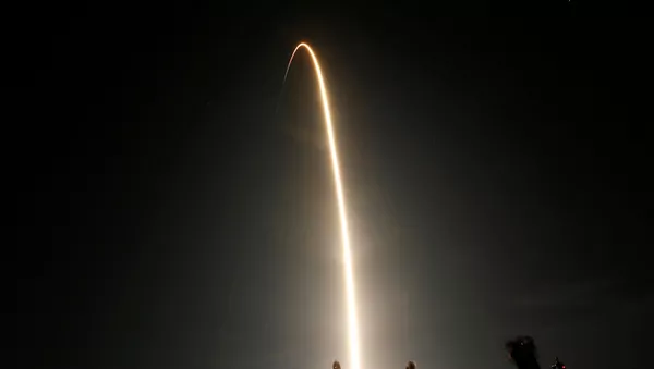 Люди наблюдают за стартом ракеты SpaceX Falcon 9 - 俄羅斯衛星通訊社