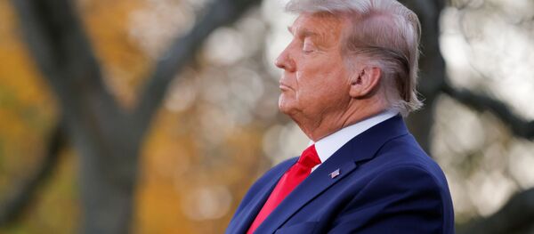 U.S. President Donald Trump listens to Vice President Mike Pence speak during an event about the Operation Warp Speed program, the joint Defense Department and HHS initiative that has struck deals with several drugmakers in an effort to help speed up the search for effective treatments for the ongoing coronavirus disease (COVID-19) pandemic, in the Rose Garden of the White House in Washington, U.S., November 13, 2020.  - 俄罗斯卫星通讯社