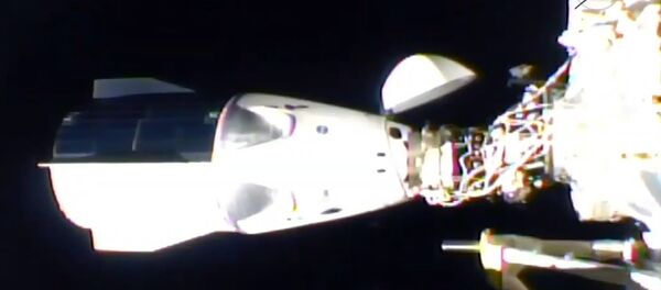 Корабль Crew Dragon пристыковался к МКС - 俄罗斯卫星通讯社