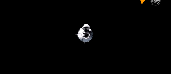 SpaceX“龍”飛船與國際空間站對接成功 - 俄羅斯衛星通訊社