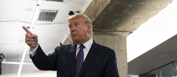 Президент США Дональд Трамп во время посещения своего избирательного штаба в Арлингтоне - 俄羅斯衛星通訊社