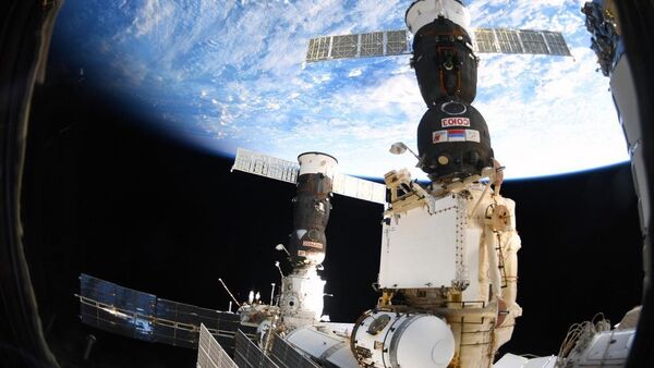 欧洲航天局：国际空间站欧洲机械臂将于明日“激活” - 俄罗斯卫星通讯社