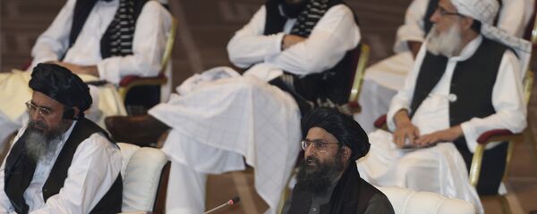 塔利班有意落实与美国签署的协议 期待拜登也将如此 - 俄罗斯卫星通讯社