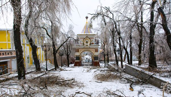 Последствия ледяного дождя во Владивостоке - 俄罗斯卫星通讯社