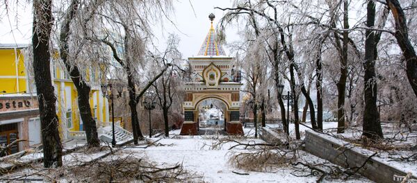 Последствия ледяного дождя во Владивостоке Последствия ледяного дождя во Владивостоке - 俄罗斯卫星通讯社