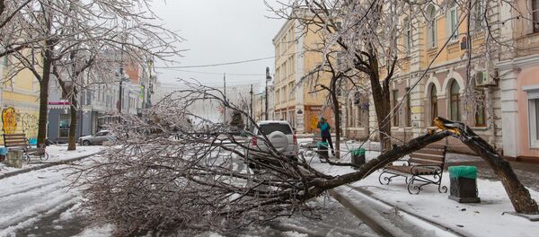 Последствия ледяного дождя во Владивостоке Последствия ледяного дождя во Владивостоке - 俄羅斯衛星通訊社