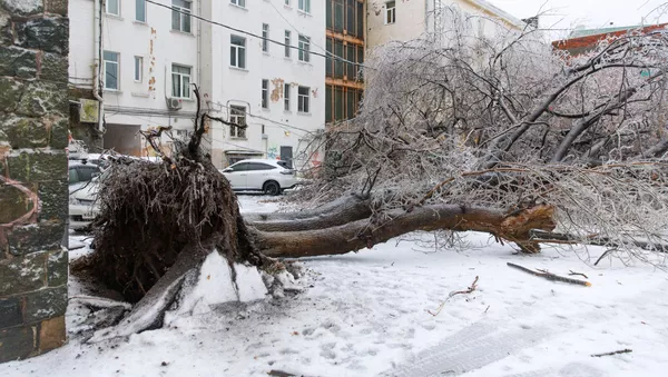 Последствия ледяного дождя во Владивостоке