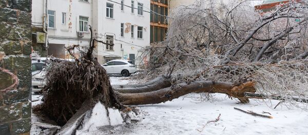 Последствия ледяного дождя во Владивостоке - 俄羅斯衛星通訊社