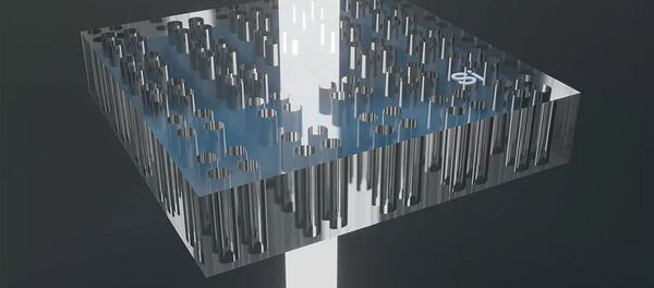 Метаматериал-анаполь - 俄羅斯衛星通訊社