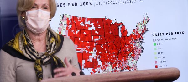 Доктор Дебора Брикс во время брифинга по коронавирусу в Белом Доме - 俄羅斯衛星通訊社