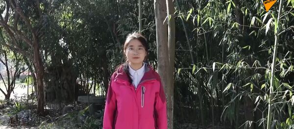 reactor - 俄羅斯衛星通訊社