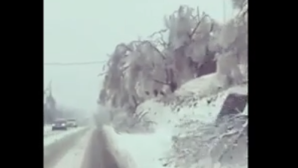 滨海边疆区因暴风雪全区进入紧急状态 - 俄罗斯卫星通讯社