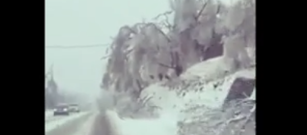 滨海边疆区因暴风雪全区进入紧急状态 - 俄罗斯卫星通讯社