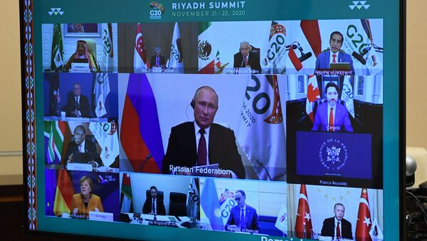 Russia Putin G20 - 俄羅斯衛星通訊社