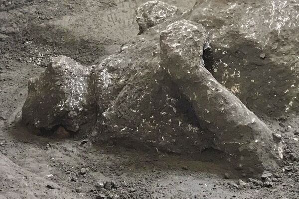 庞贝古城惊现死于维苏威火山喷发的主仆二人遗骸 庞贝古城惊现死于维苏威火山喷发的主仆二人遗骸 - 俄罗斯卫星通讯社