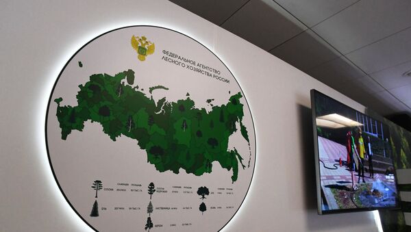 Стенд Федерального агентства лесного хозяйства РФ - 俄罗斯卫星通讯社