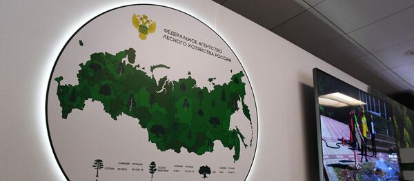 Стенд Федерального агентства лесного хозяйства РФ - 俄羅斯衛星通訊社