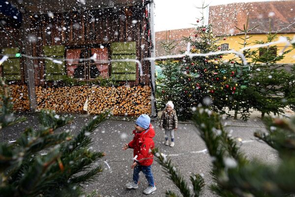 德国的圣诞集市 - 俄罗斯卫星通讯社