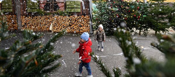 Рождественская ярмарка в Германии  - 俄罗斯卫星通讯社