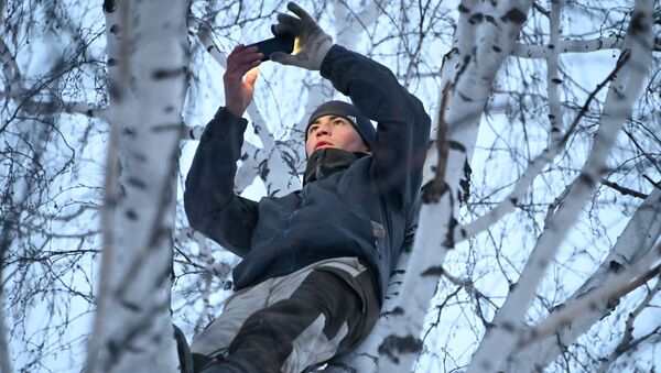 西伯利亞一名學生為學習上樹 - 俄羅斯衛星通訊社