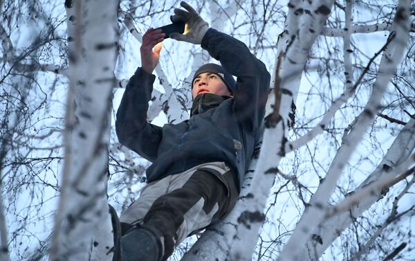 西伯利亞一名學生為學習上樹 - 俄羅斯衛星通訊社