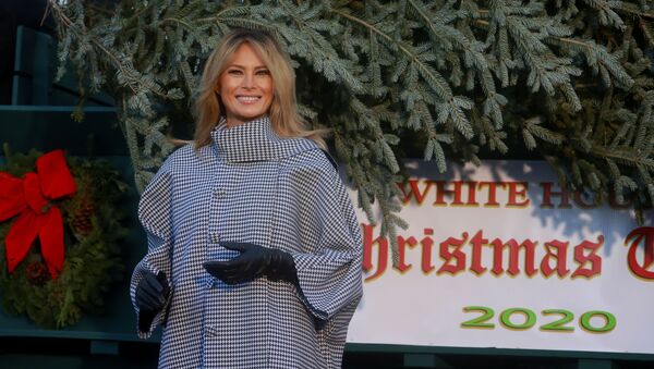 Меланья Трамп принимает новогоднюю ель около Белого дома. 23 ноября 2020 - 俄羅斯衛星通訊社