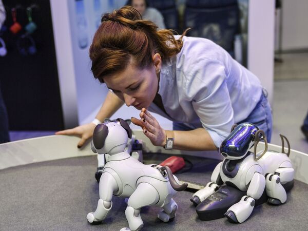 在莫斯科“М.视频电子产品展－２０１９”（М.Видео Electronics Show 2019）开幕式上，一位姑娘正在为机器狗分配团队。 - 俄罗斯卫星通讯社