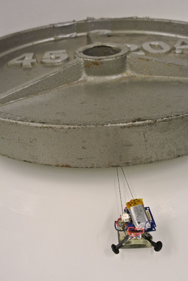 微型仿生機器人MicroTugs正在拖拽重物 - 俄羅斯衛星通訊社