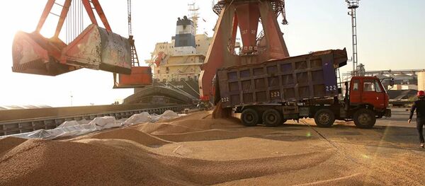 Транспортировка импортной сои в Китае - 俄罗斯卫星通讯社