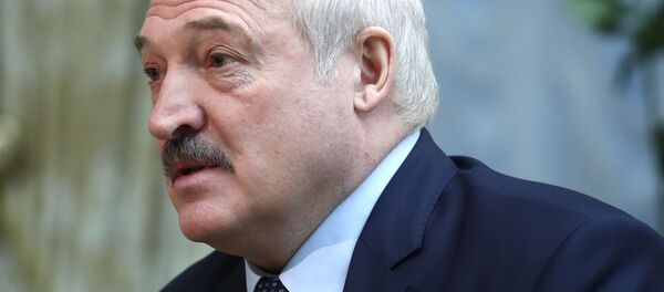 Президент Белоруссии Александр Лукашенко на встрече во Дворце независимости в Минске с министром иностранных дел России Сергеем Лавровым. - 俄羅斯衛星通訊社