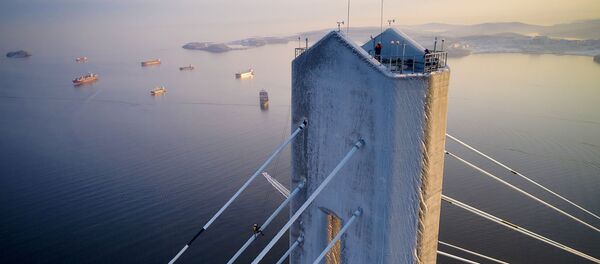 俄滨海边疆区政府否认通向俄罗斯岛大桥将关闭至新年 - 俄罗斯卫星通讯社