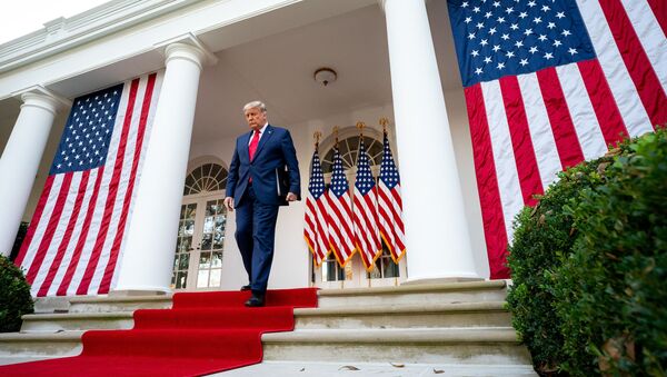 Президент Дональд Трамп на ступенях Белого Дома в Вашингтоне, США - 俄羅斯衛星通訊社