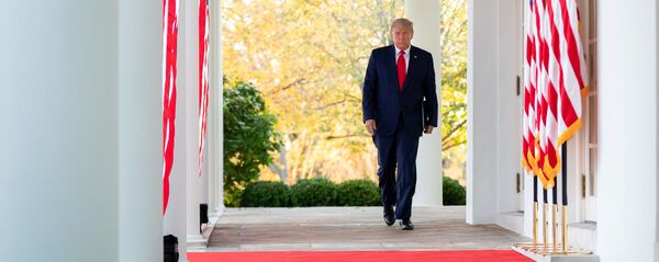 Президент Дональд Трамп в Белом Доме в Вашингтоне, США - 俄罗斯卫星通讯社