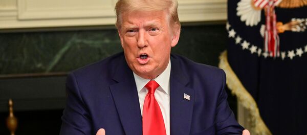 U.S. President Donald Trump speaks to reporters after he participated in a Thanksgiving video teleconference with members of the military forces at the White House in Washington, U.S., November 26, 2020. - 俄羅斯衛星通訊社