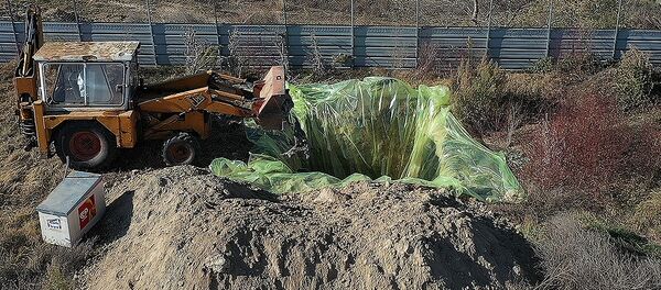 Захоронение норок - 俄羅斯衛星通訊社