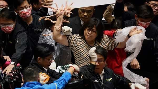 Тайваньские законодатели кидаются свиными кишками - 俄羅斯衛星通訊社