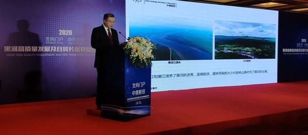 黑河市委书记：黑河在连接中俄国际双循环、促进国内大循环中大有作为  - 俄罗斯卫星通讯社