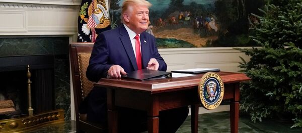 Президент США Дональд Трамп во время телеконференции в Белом доме - 俄羅斯衛星通訊社