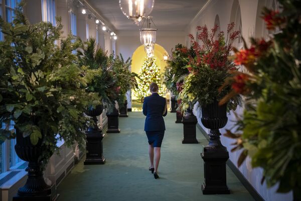 白宫的圣诞装饰 - 俄罗斯卫星通讯社