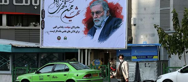 Портрет иранского физика  Мохсена Фахризаде Махабади на одной из улиц Тегерана  - 俄罗斯卫星通讯社