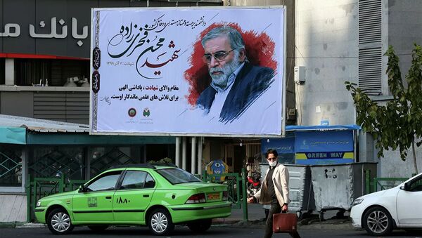 Портрет иранского физика  Мохсена Фахризаде Махабади на одной из улиц Тегерана  - 俄罗斯卫星通讯社