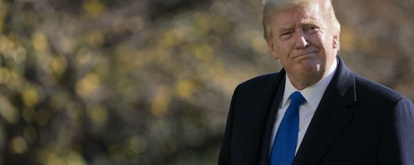 President Donald Trump walks on the South Lawn of the White House in Washington, Sunday, Nov. 29, 2020, after stepping off Marine One. Trump is returning from Camp David - 俄罗斯卫星通讯社
