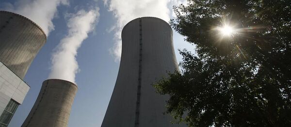  АЭС Дукованы - 俄羅斯衛星通訊社