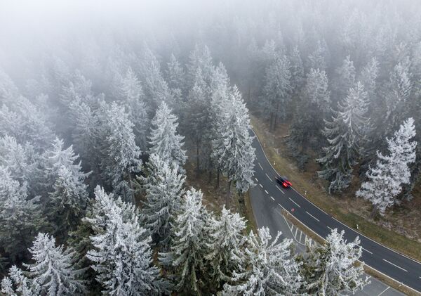 Вид сверху на заснеженный лес недалеко от Франкфурта, Германия - 俄罗斯卫星通讯社