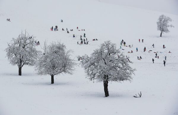 Люди катаются на санках во время первого снегопада в Альбиспассе, Швейцария - 俄羅斯衛星通訊社