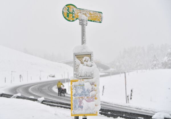 Снегопад в Обертауэрне под Зальцбургом, Австрия - 俄罗斯卫星通讯社